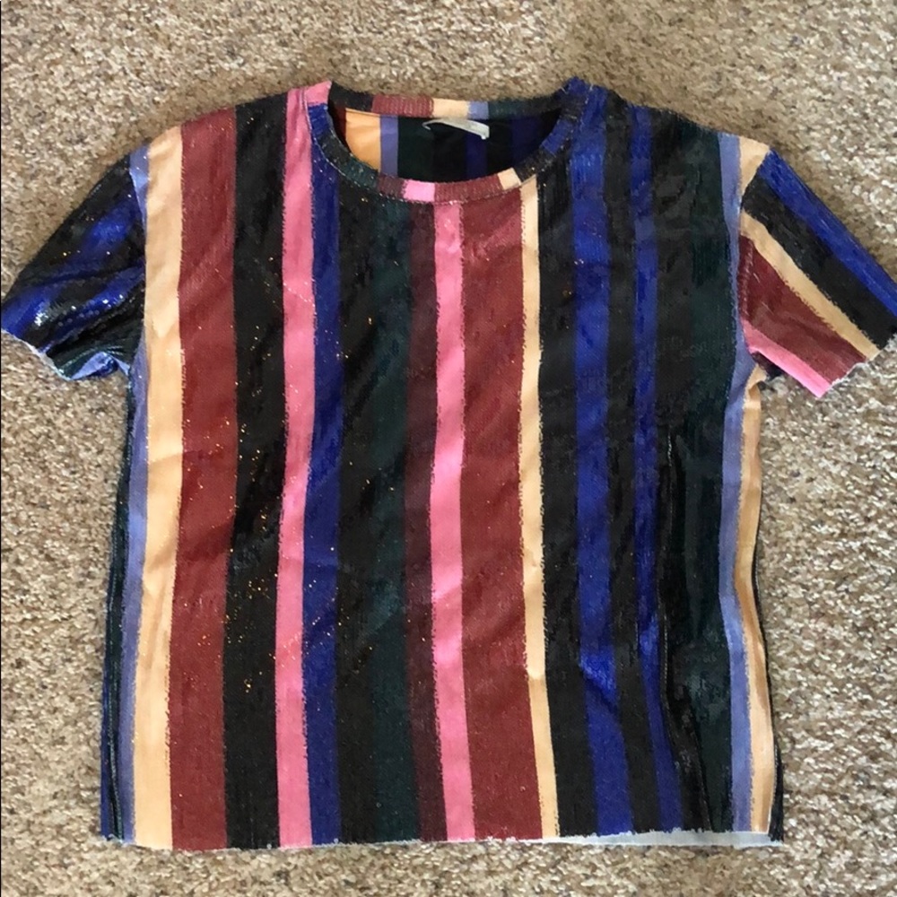 Zara Multicolored Sequin Top